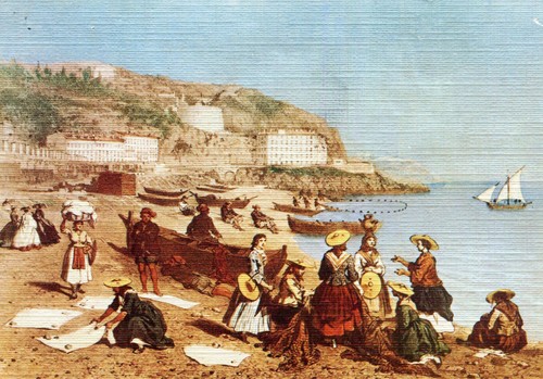 Comté nice 1860 après - nice,